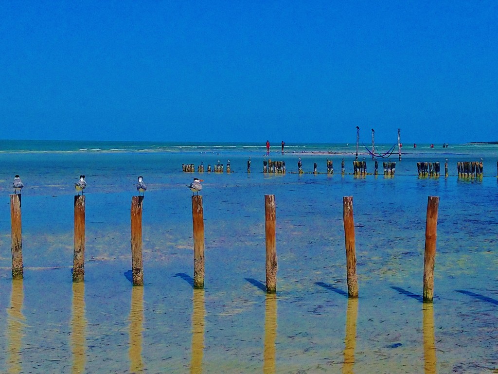 Foto: Playa Holbox - Holbox (Quintana Roo), México