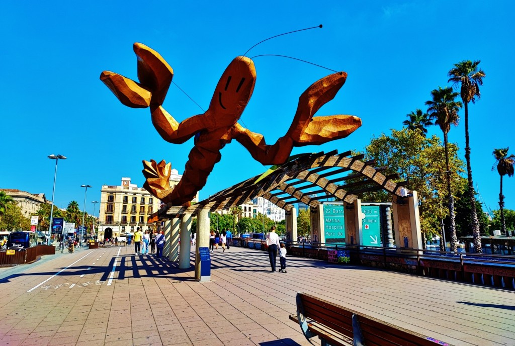 Foto: La Gamba de Mariscal - Barcelona (Cataluña), España