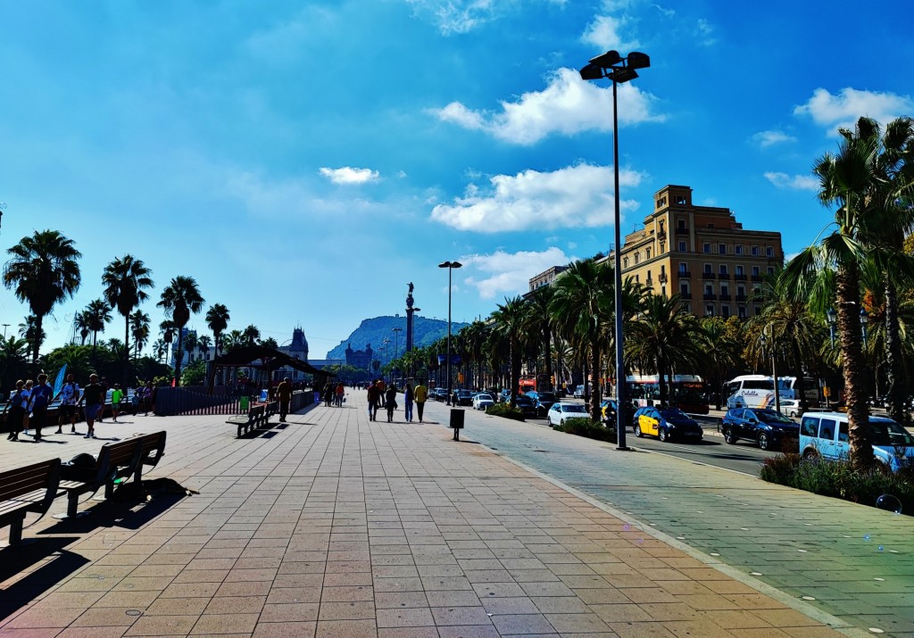 Foto: Passeig de Colom - Barcelona (Cataluña), España