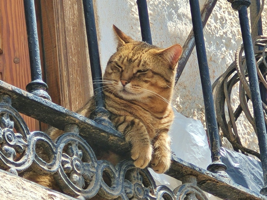 Foto: Centro histórico - Capileira (Granada), España