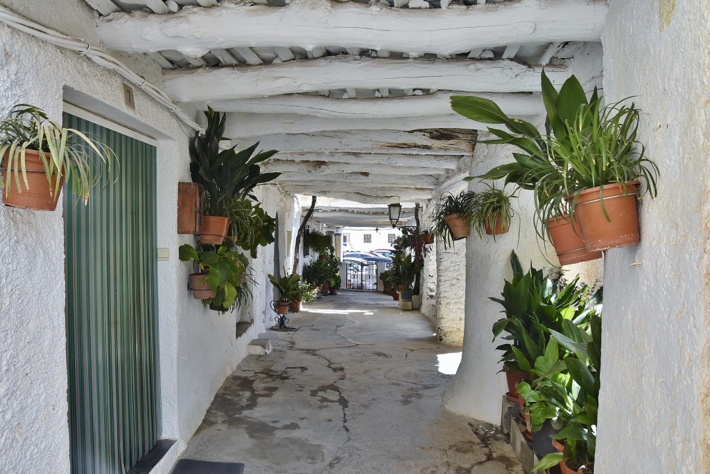 Foto: Centro histórico - Capileira (Granada), España