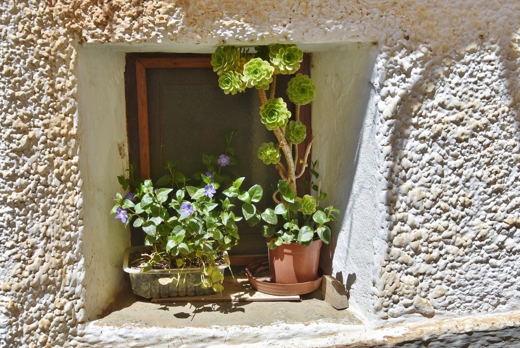 Foto: Centro histórico - Capileira (Granada), España