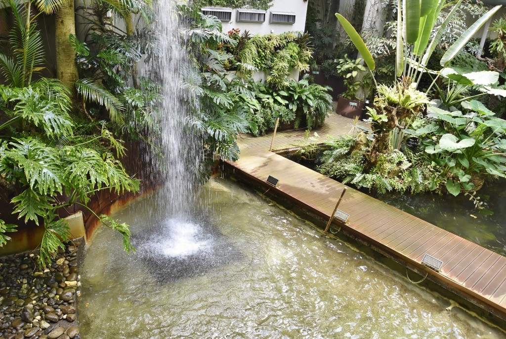 Foto: Orquidiario - Estepona (Málaga), España