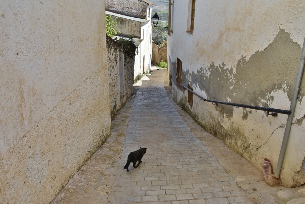 Foto: Centro histórico - Alhama de Granada (Granada), España