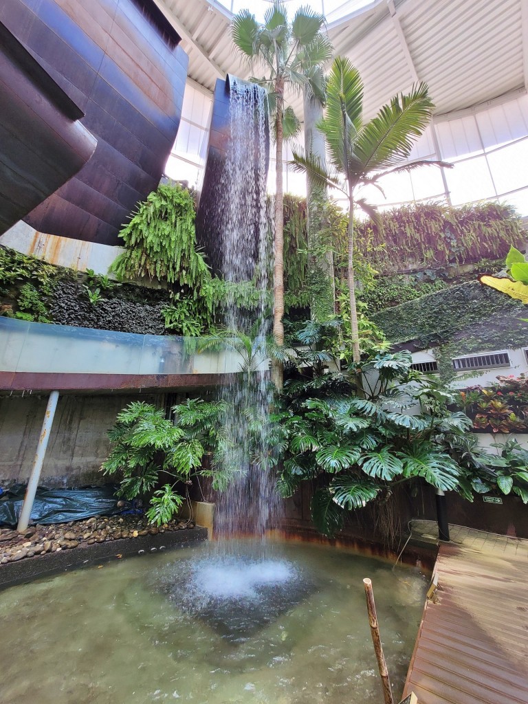 Foto: Orquidiario - Estepona (Málaga), España