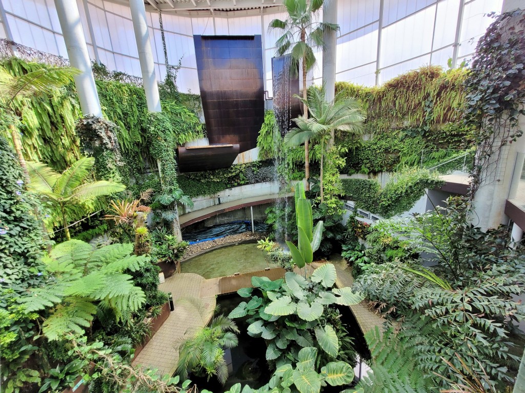 Foto: Orquidiario - Estepona (Málaga), España