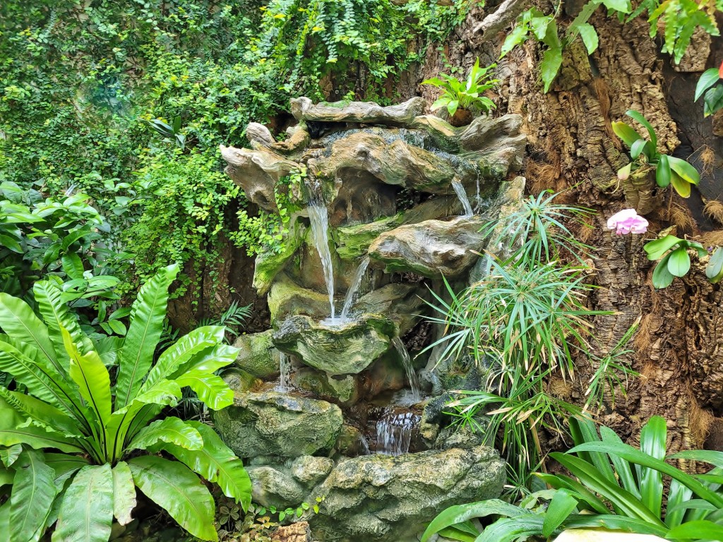 Foto: Orquidiario - Estepona (Málaga), España