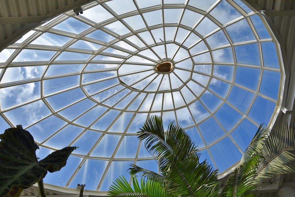 Foto: Orquidiario - Estepona (Málaga), España