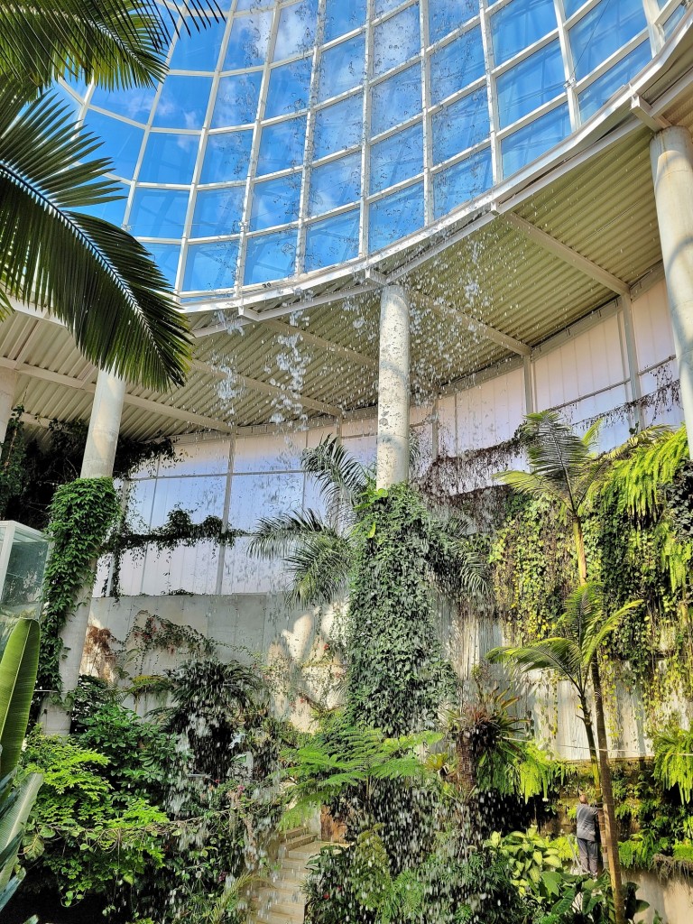 Foto: Orquidiario - Estepona (Málaga), España