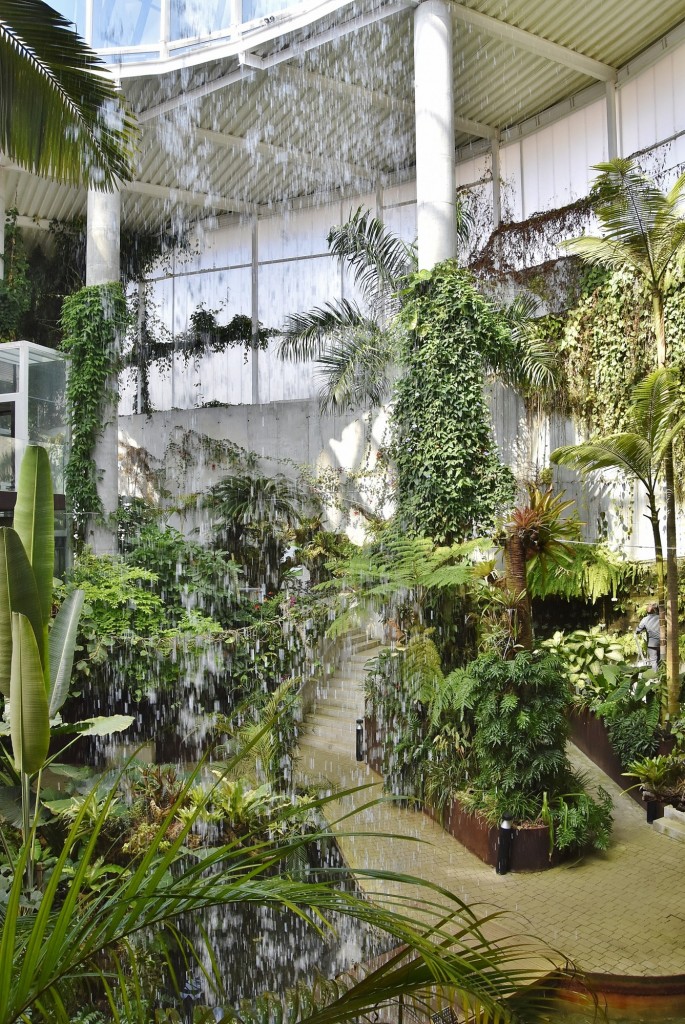 Foto: Orquidiario - Estepona (Málaga), España