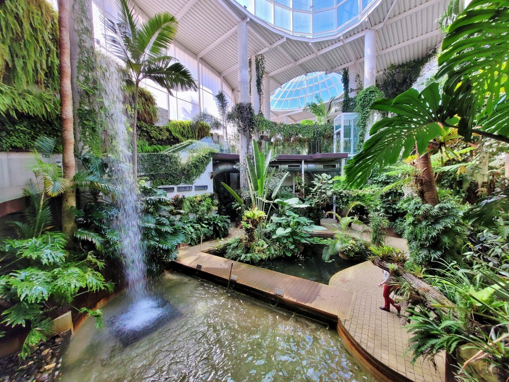 Foto: Orquidiario - Estepona (Málaga), España