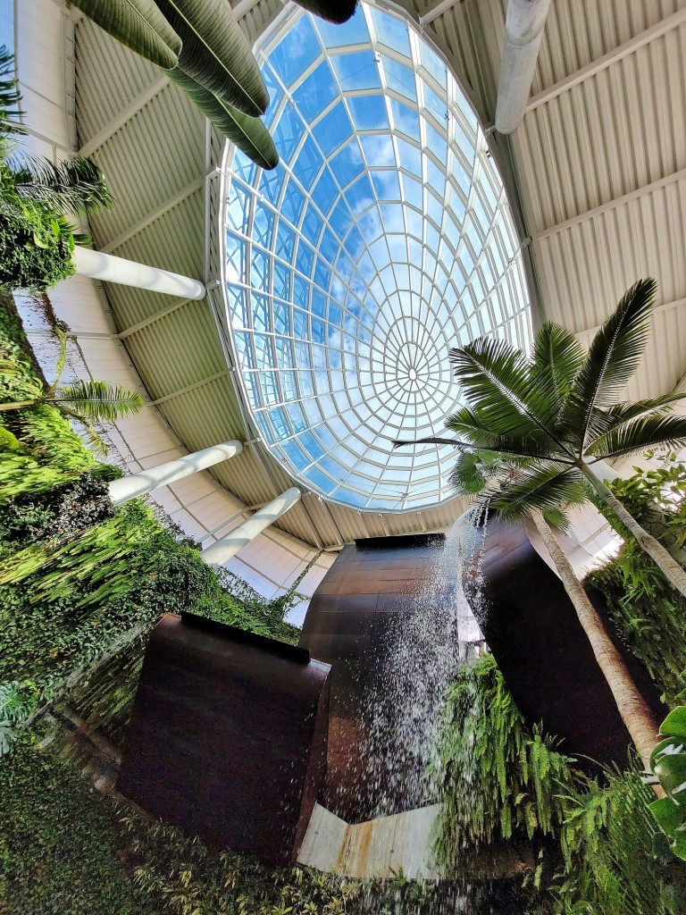 Foto: Orquidiario - Estepona (Málaga), España