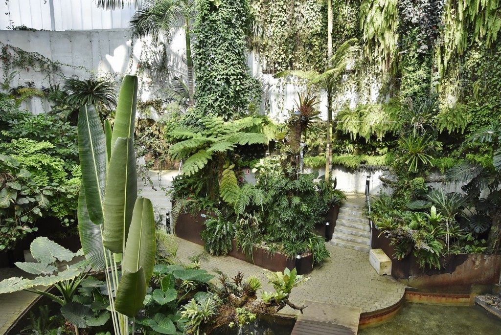 Foto: Orquidiario - Estepona (Málaga), España