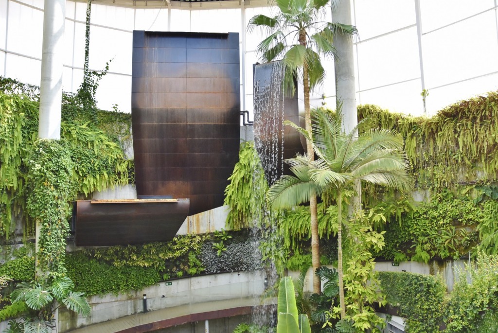 Foto: Orquidiario - Estepona (Málaga), España