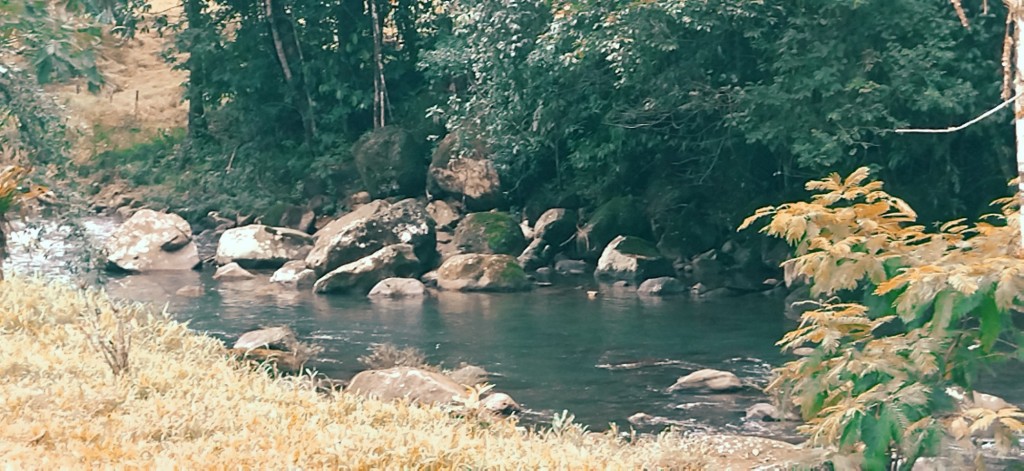 Foto de La Virgen de Sarapiqui (Heredia), Costa Rica