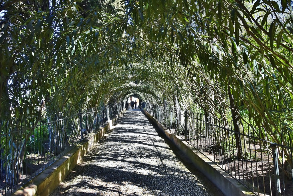 Foto: Generalife - Granada (Andalucía), España