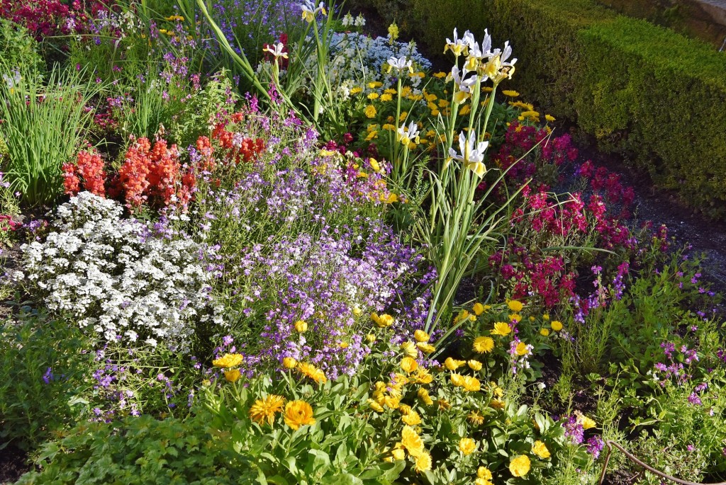Foto: Generalife - Granada (Andalucía), España
