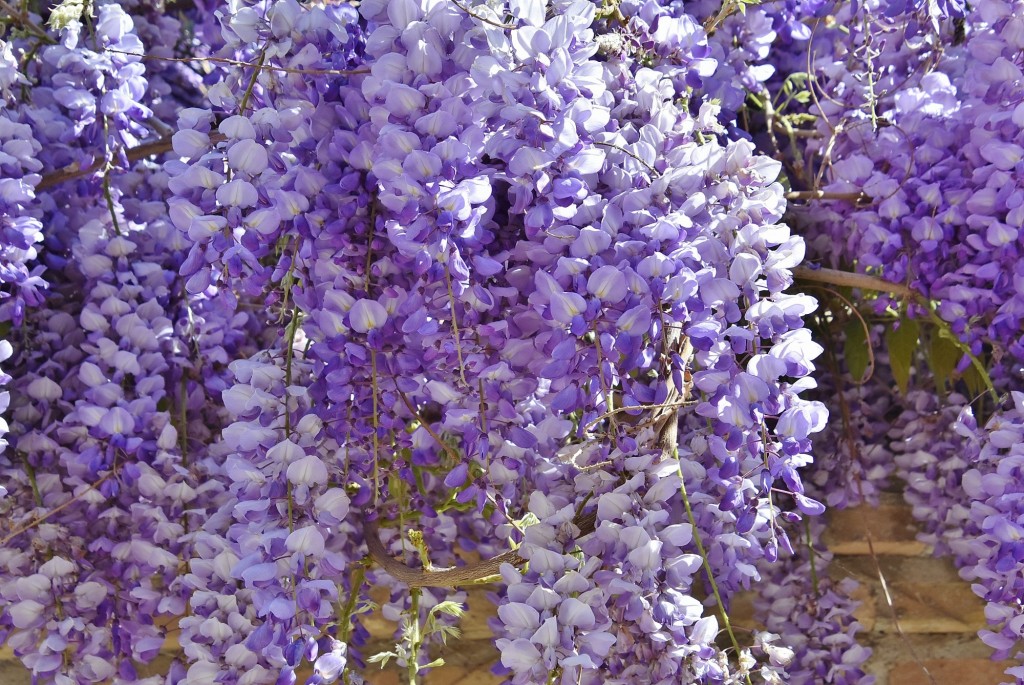 Foto: Alhambra - Granada (Andalucía), España