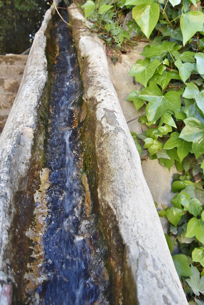 Foto: Generalife - Granada (Andalucía), España