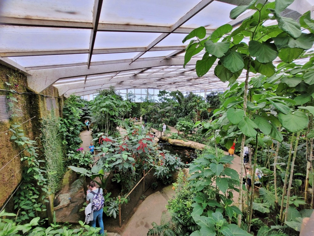 Foto: Mariposario - Benalmádena (Málaga), España