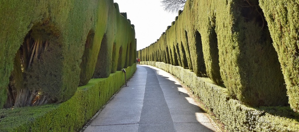 Foto: Alhambra - Granada (Andalucía), España