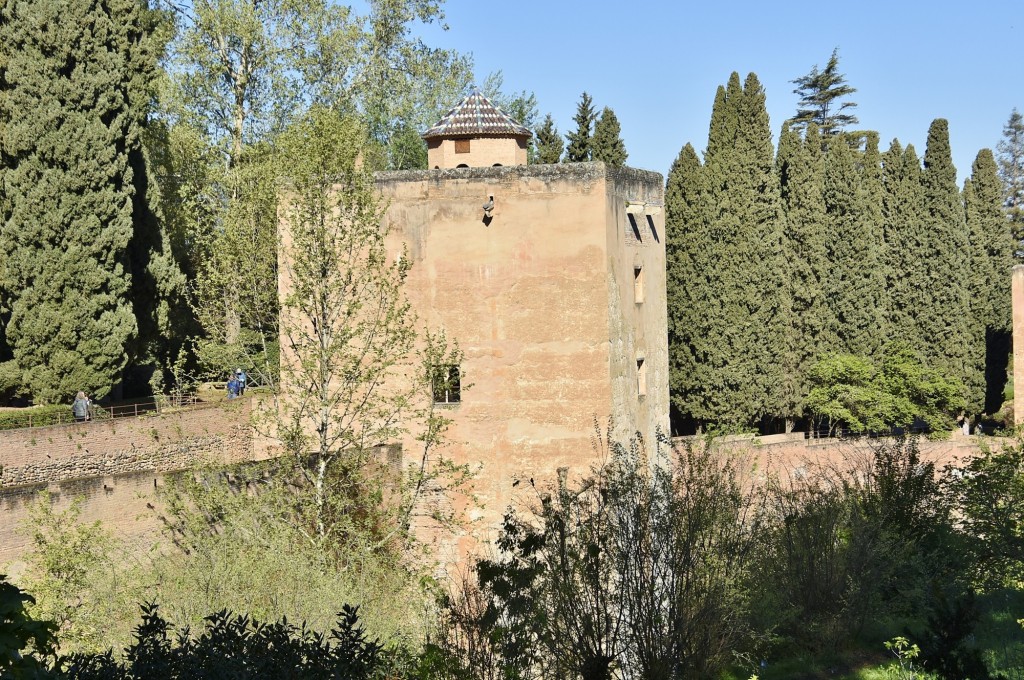 Foto: Alhambra - Granada (Andalucía), España
