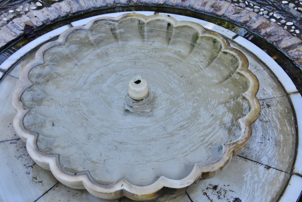 Foto: Generalife - Granada (Andalucía), España