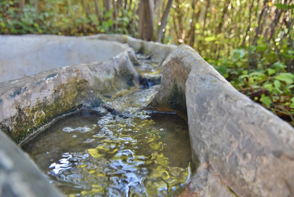 Foto: Generalife - Granada (Andalucía), España