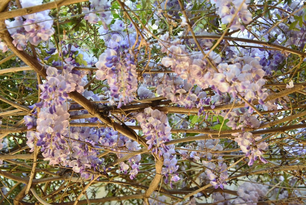 Foto: Alhambra - Granada (Andalucía), España