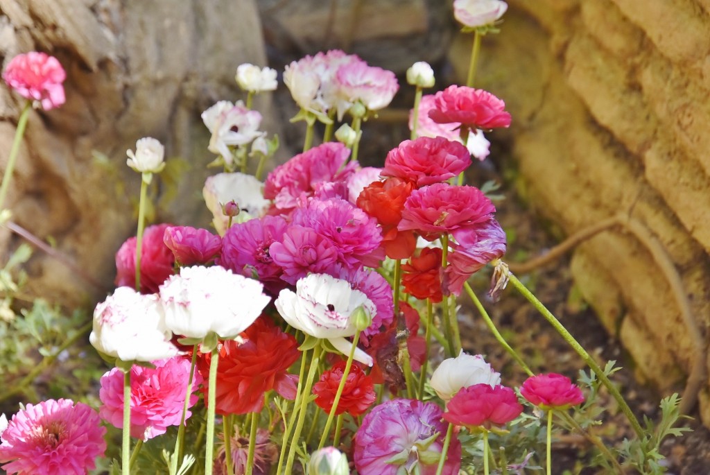 Foto: Alhambra - Granada (Andalucía), España