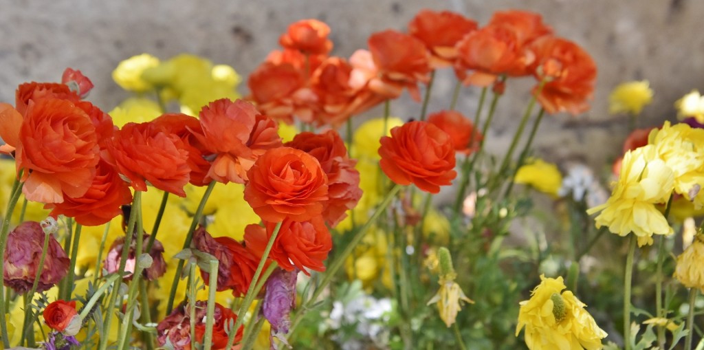Foto: Alhambra - Granada (Andalucía), España