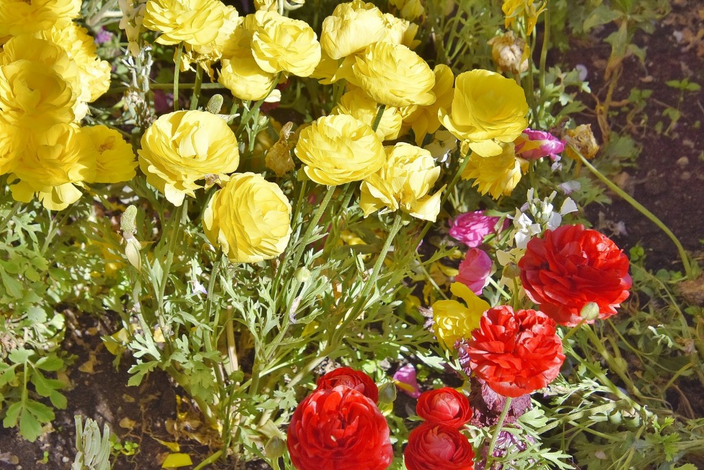 Foto: Alhambra - Granada (Andalucía), España