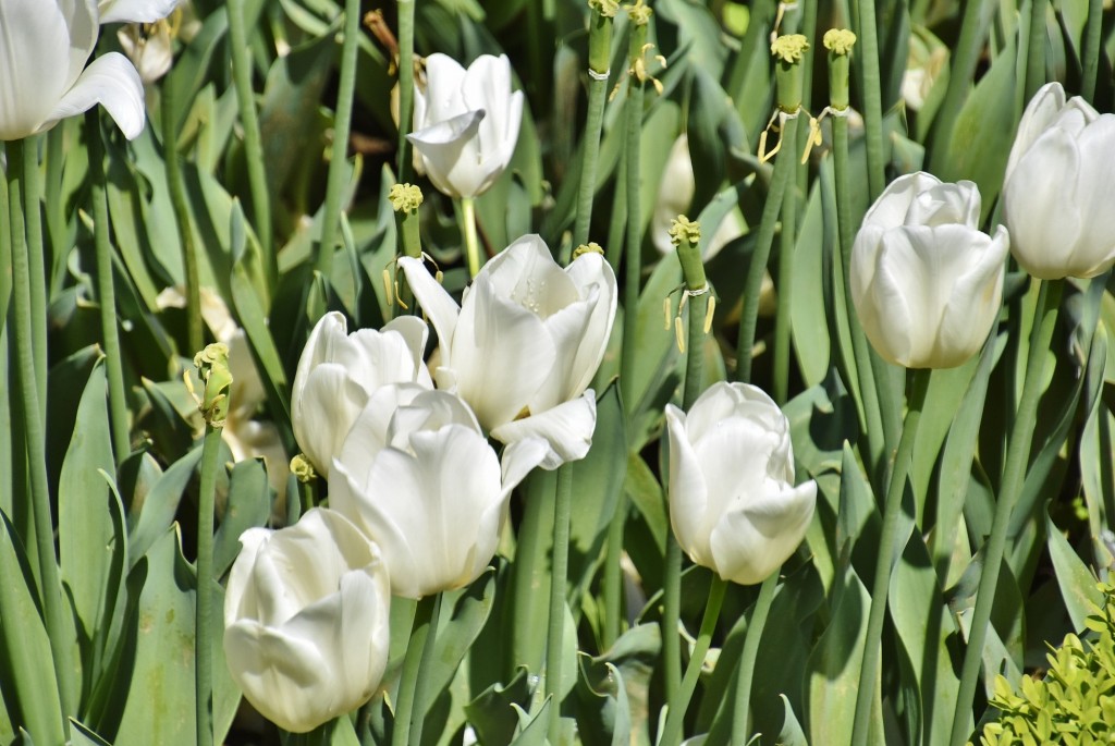 Foto: Alhambra - Granada (Andalucía), España