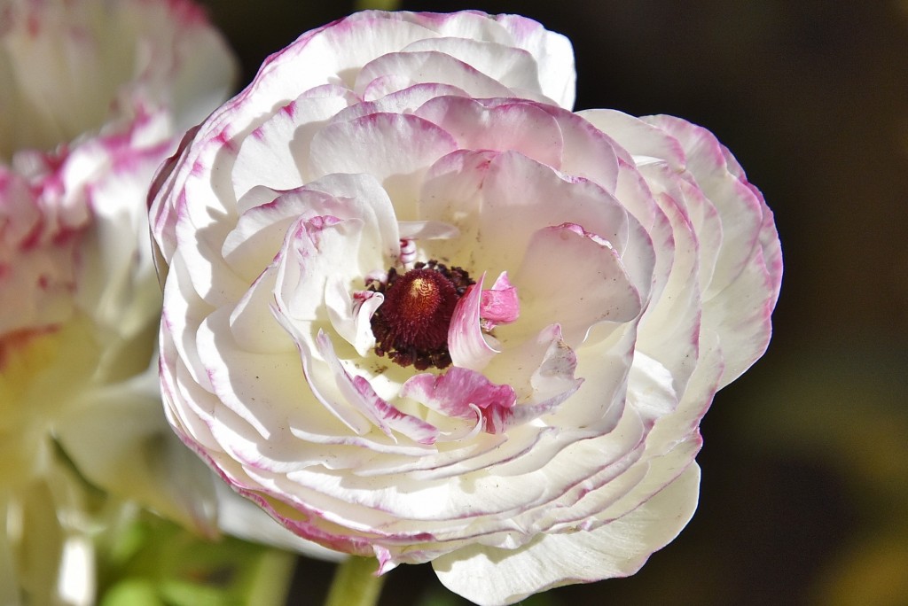 Foto: Alhambra - Granada (Andalucía), España