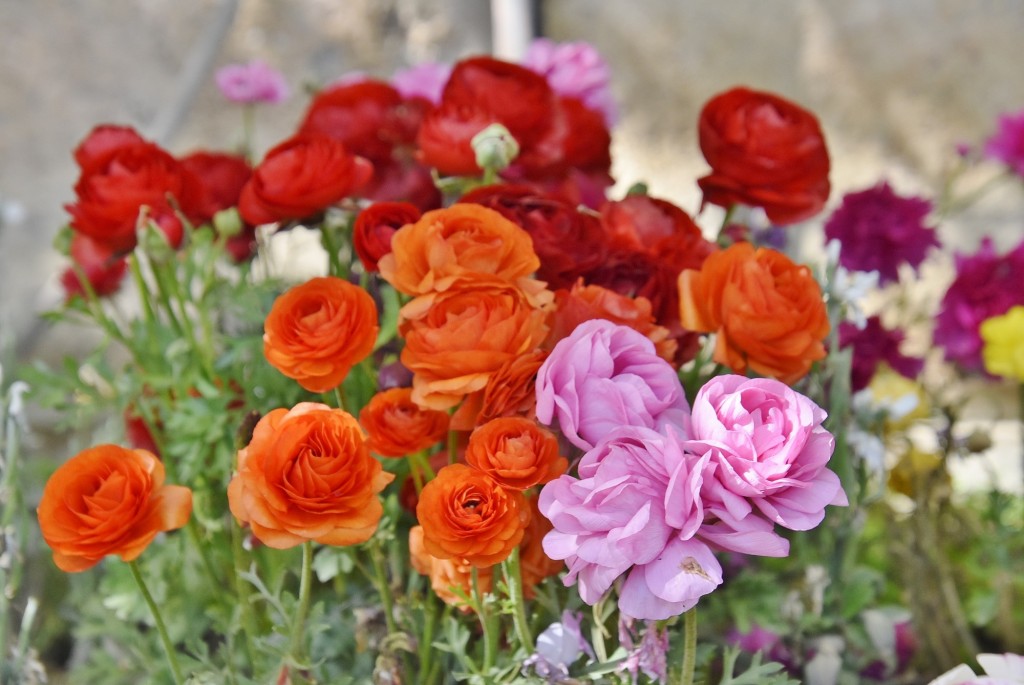 Foto: Alhambra - Granada (Andalucía), España