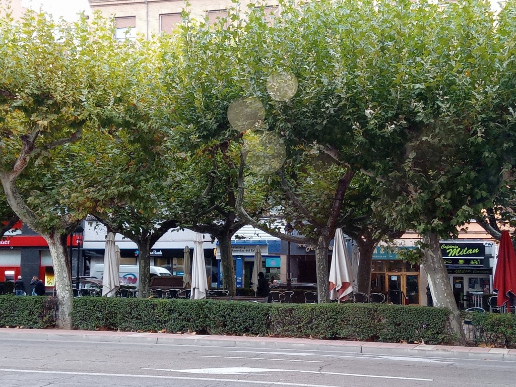 Foto: Paseo Cortes de Aragón - Calatayud (Zaragoza), España