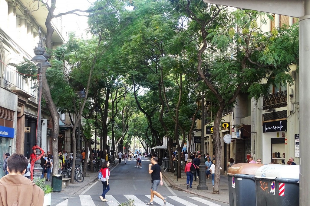 Foto: Calle de San Vicente - València (Comunidad Valenciana), España