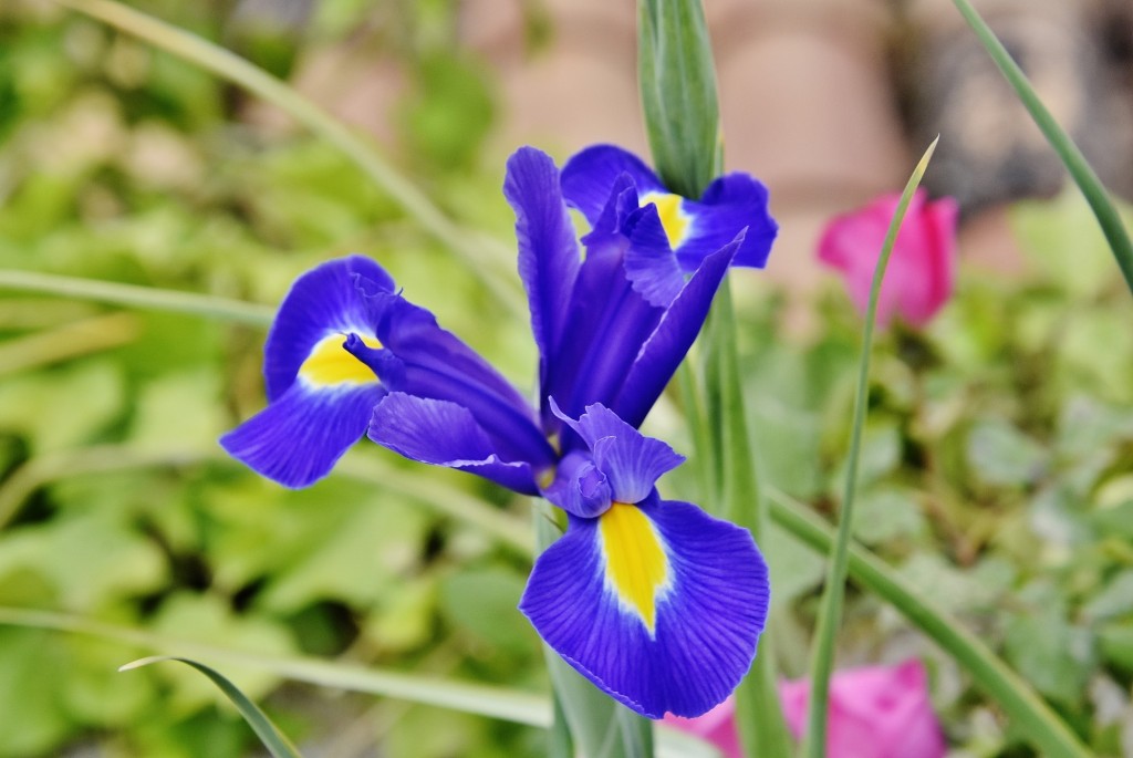 Foto: Casa del Chapiz - Granada (Andalucía), España