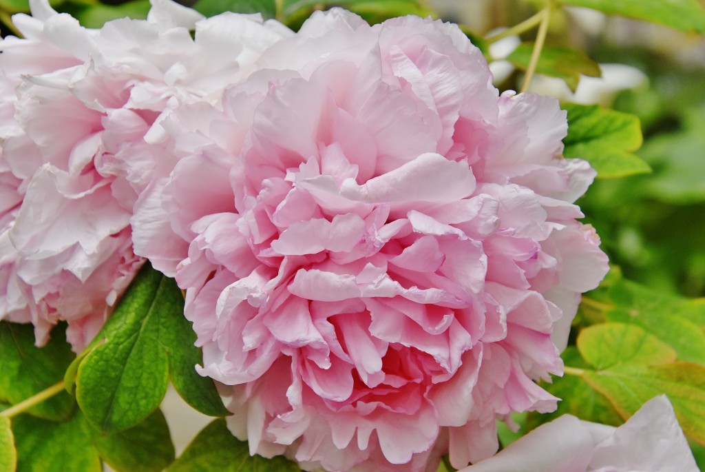 Foto: Interior de un comercio - Granada (Andalucía), España