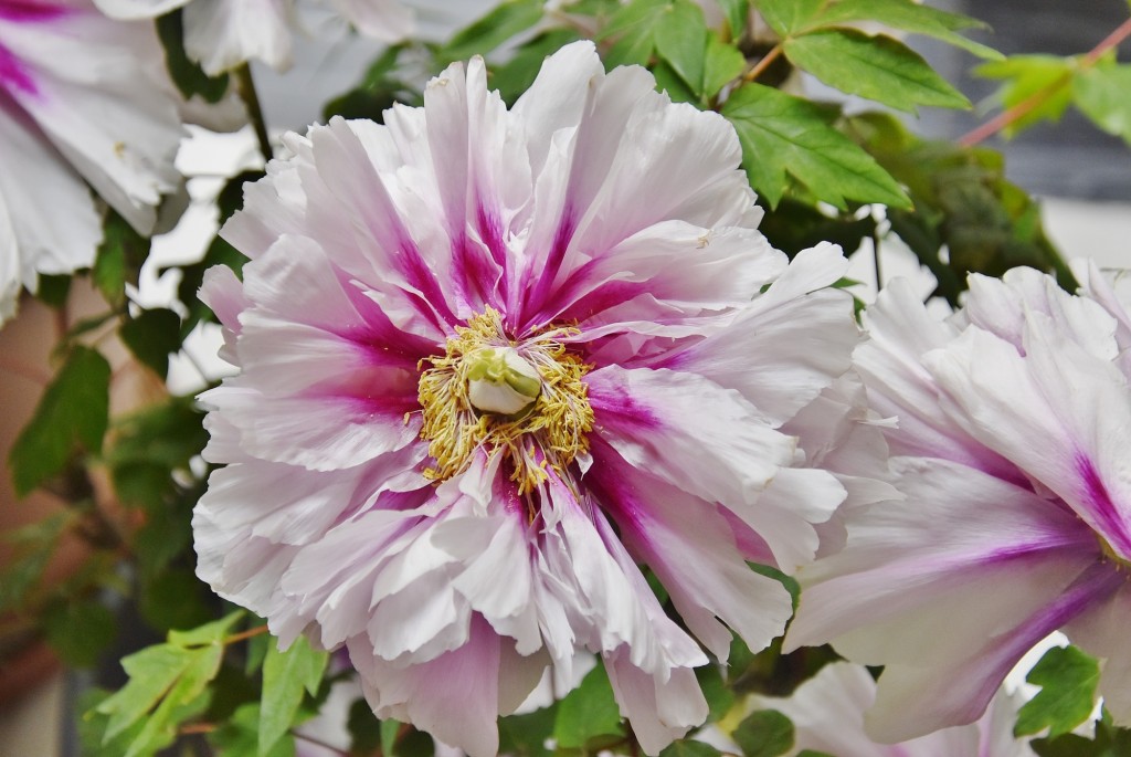 Foto: Interior de un comercio - Granada (Andalucía), España