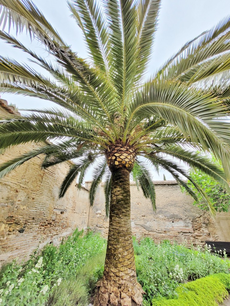 Foto: Palacio de Dar al-Horra - Granada (Andalucía), España