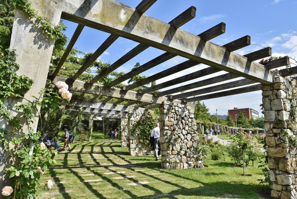 Foto: Concurso de rosas - Barcelona (Cataluña), España