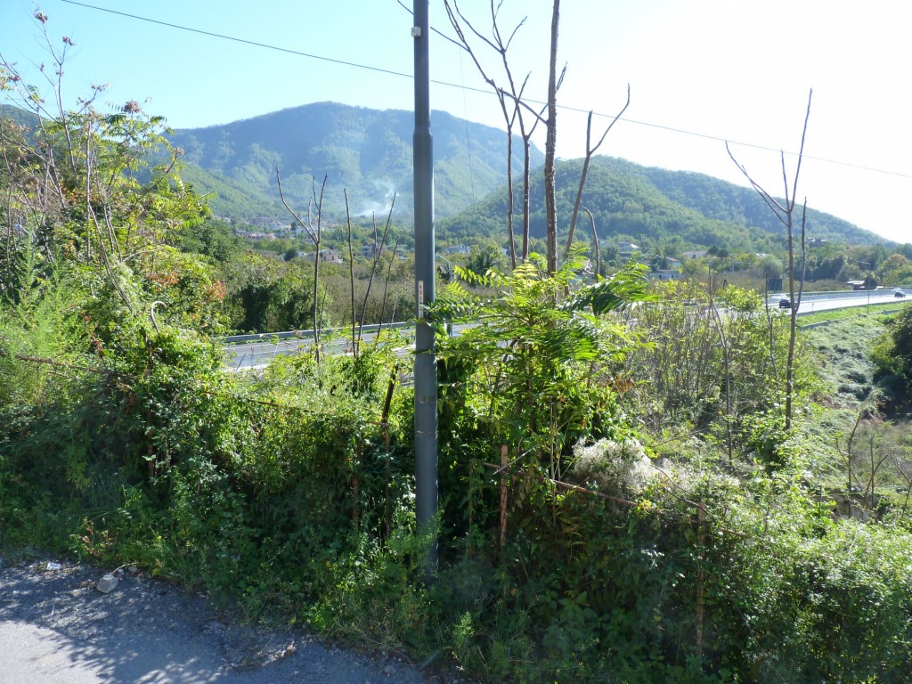 Foto: Campiña - Baronissi, Salerno (Campania), Italia
