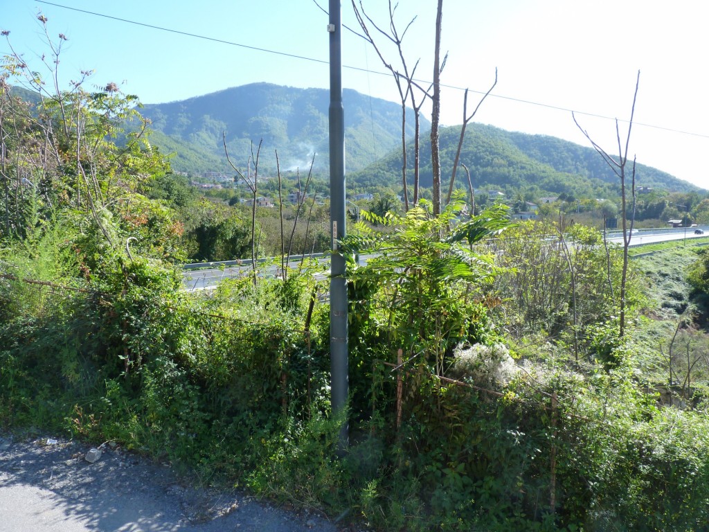 Foto: Campiña - Baronissi, Salerno (Campania), Italia