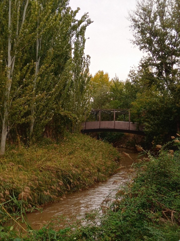 Foto: Río Jalón - Calatayud (Zaragoza), España