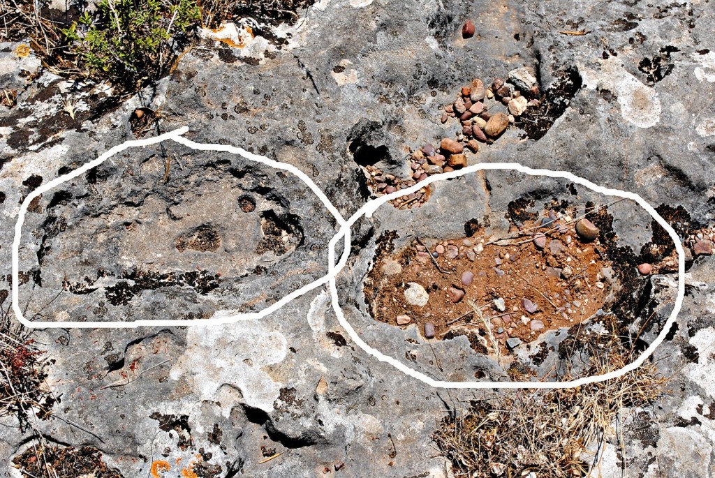 Foto: huella vista en el rio retortillo en peñaflor sevilla - Peñaflor (Sevilla), España