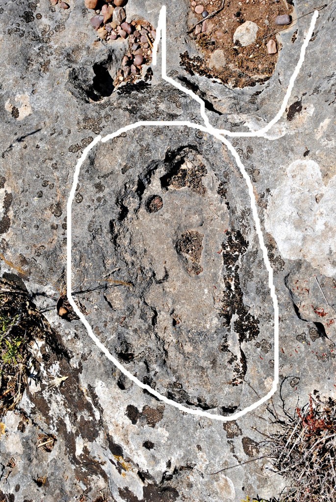 Foto: huella vista en el rio retortillo en peñaflor sevilla - Peñaflor (Sevilla), España