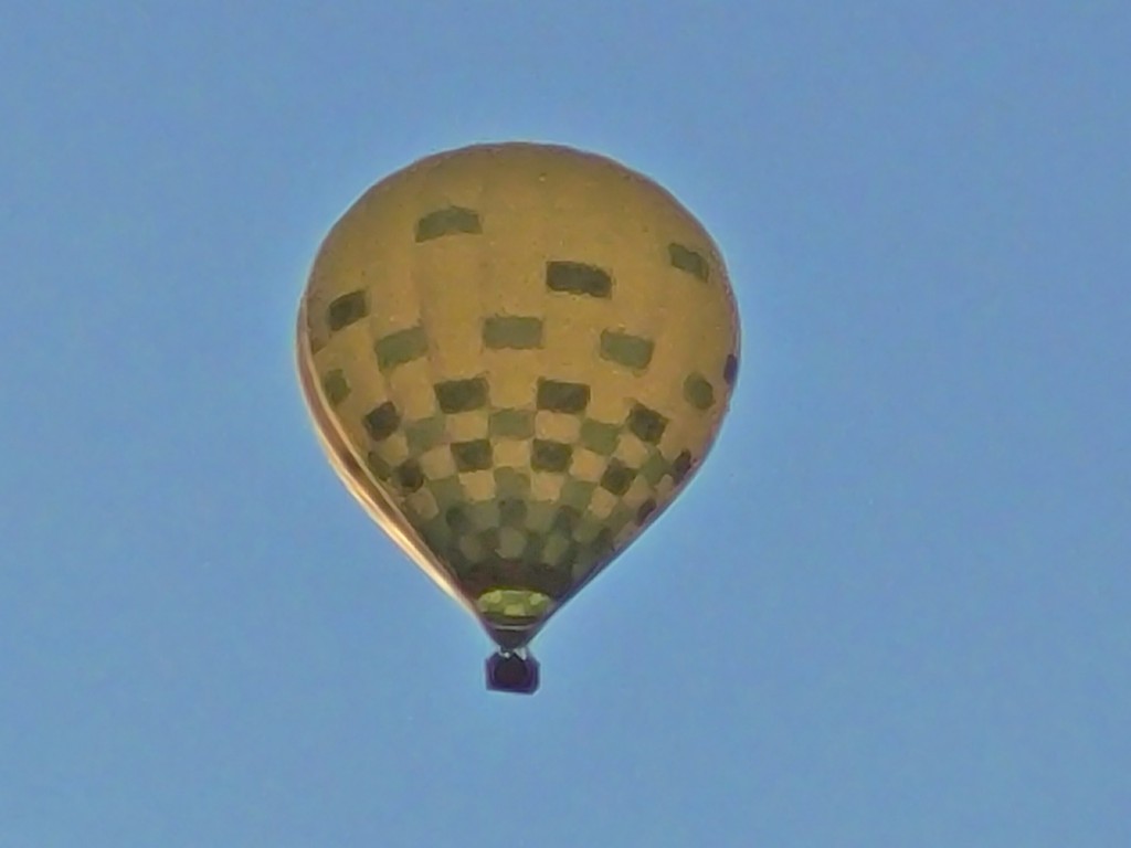 Foto: Competición de globos - Igualada (Barcelona), España