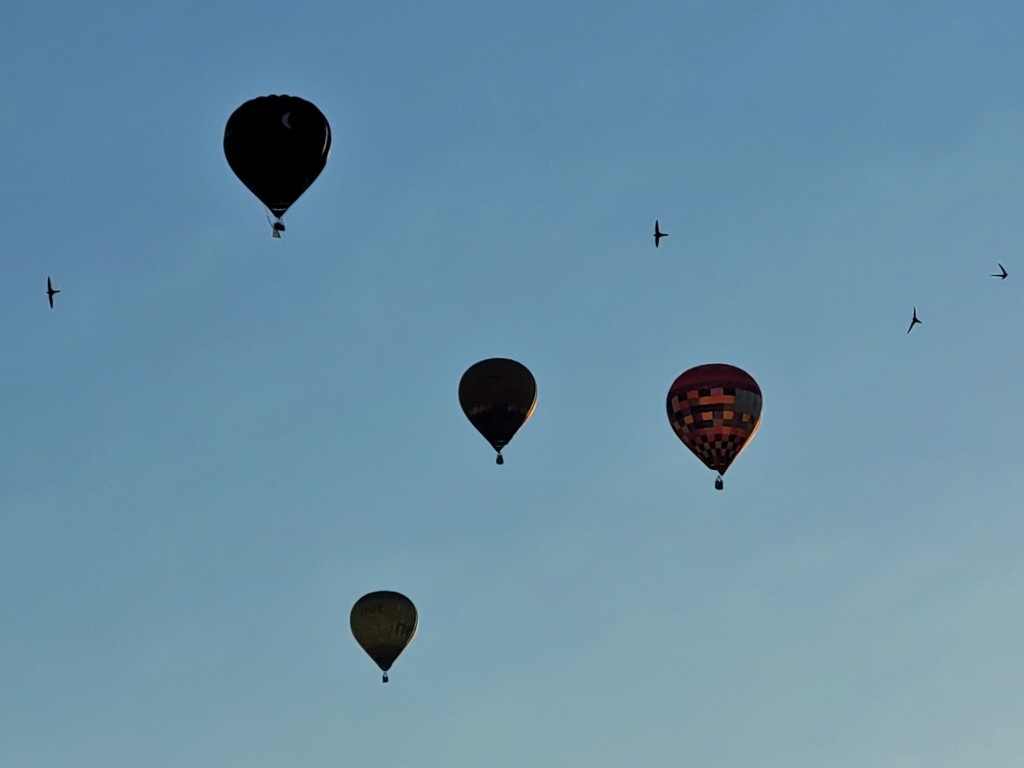Foto: Competición de globos - Igualada (Barcelona), España