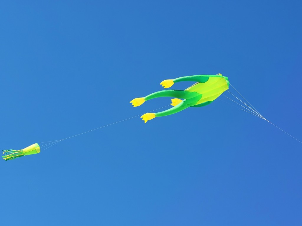 Foto: Competición de globos - Igualada (Barcelona), España